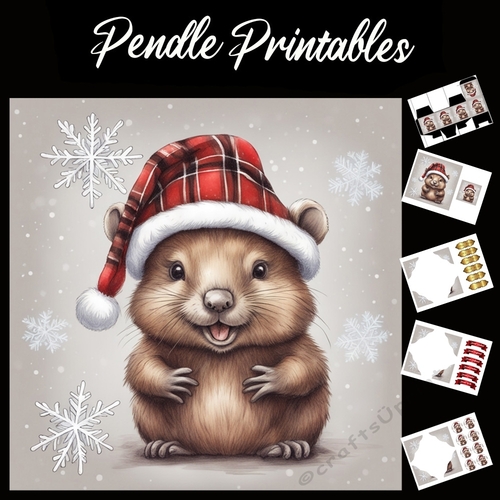 Bill The Beaver 7x7 card kit. Matching Box, Gift Bauble,Tag.