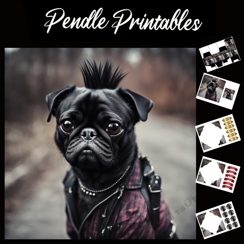 What You Lookin At? Punk Pug 7x7 card kit. Matching Box, Gift Bauble,Tag.