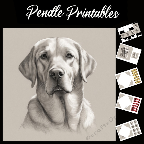 Im Lookin Good . Labrador Card. 7x7 card kit. Matching Box, Gift Bauble,Tag.