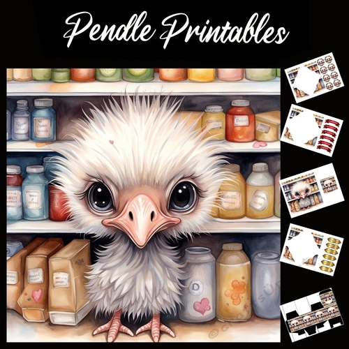 I Came For The Seed. Chick 7x7 Card Kit. Matching Box, Gift Bauble, Tag.