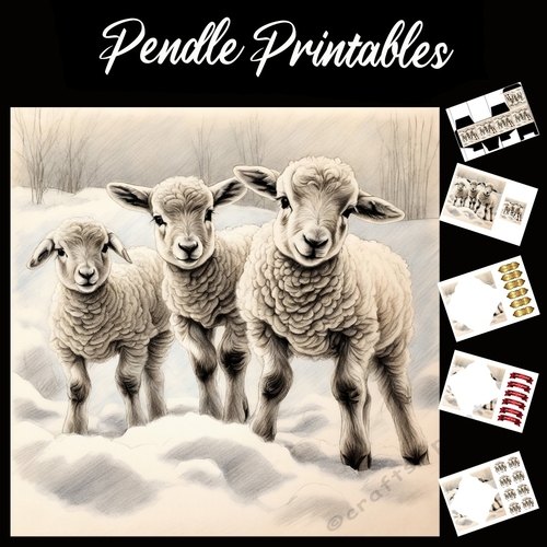 Just Hanging About. Lamb Card. 7x7 card kit. Matching Box, Gift Bauble,Tag.