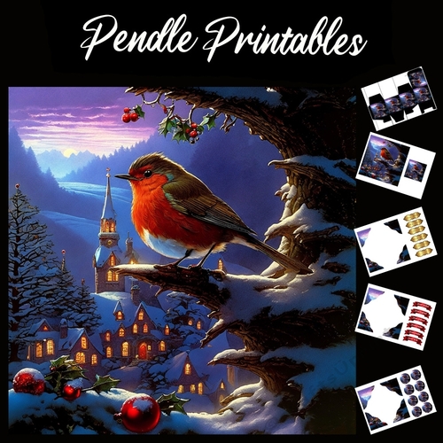 Robin Red Breast 2 . Robin Card. 7x7 card kit. Matching Box, Gift Bauble,Tag.