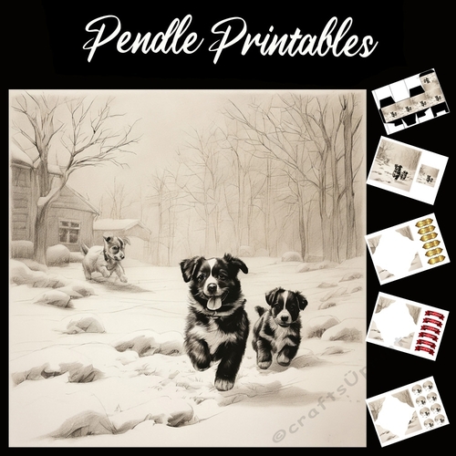 Barmy Barkers . Dog Card. 7x7 card kit. Matching Box, Gift Bauble,Tag.