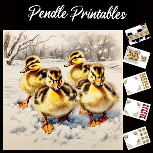 Yellow Peril. Duck Card. 7x7 card kit. Matching Box, Gift Bauble,Tag.