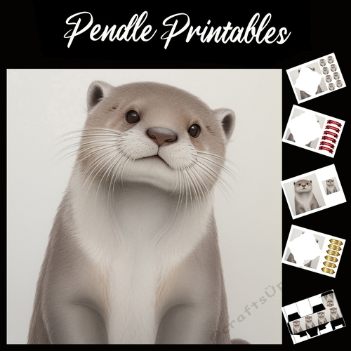 The Otterly Cute Otter 7x7 Card Kit. Matching Box, Gift Bauble, Tag.