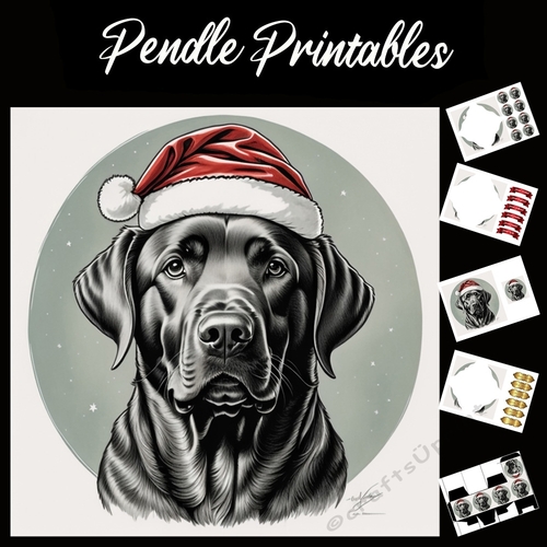 A Labradors Christmas Hat7x7 Card Kit. Matching Box, Gift Bauble, Tag.