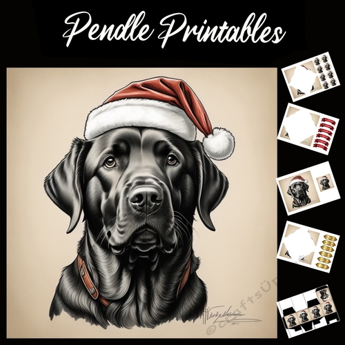 Beautiful Pencil Sketch Of A Labrador in Santa Hat 7x7 Card Kit. Matching Box, Gift Bauble, Tag.