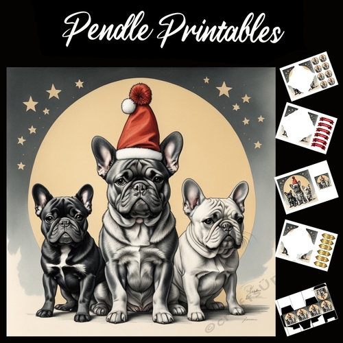 The French Bulldogs Christmas 7x7 Card Kit. Matching Box, Gift Bauble, Tag.