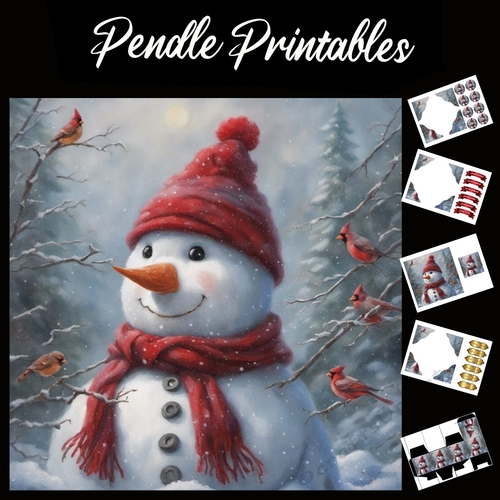 The Snowman And The Birds 7x7 card kit. Matching Box, Gift Bauble, Tag