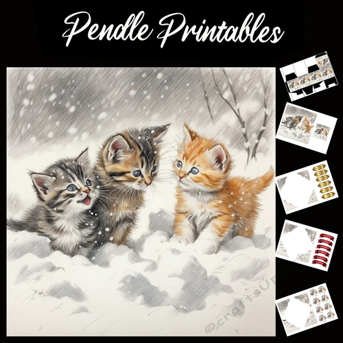 Three Brothers. Kitten Christmas Card. 7x7 card kit. Matching Box, Gift Bauble,Tag.