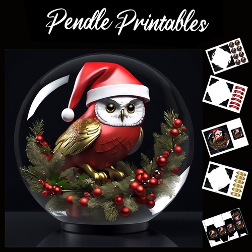 Ornate Owl In A Snowglobe 7x7 Card Kit. Matching Box, Gift Bauble, Tag