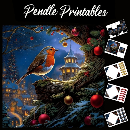 Having A Rest . Robin Christmas Card. 7x7 card kit. Matching Box, Gift Bauble,Tag.