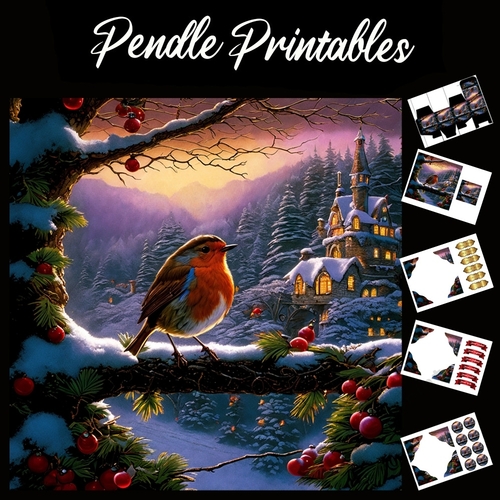 Robin Red Breast 04. Robin Christmas Card. 7x7 card kit. Matching Box, Gift Bauble,Tag.