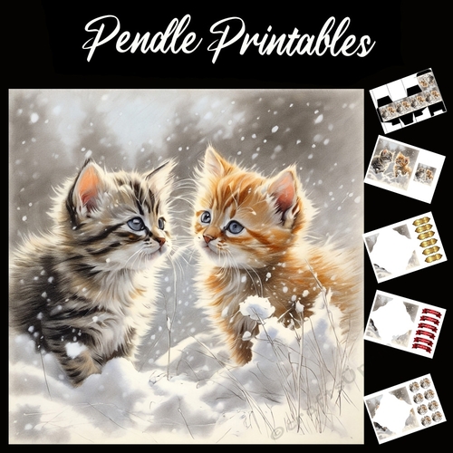 Fun In The Snow 02. Kitten Christmas Card. 7x7 card kit. Matching Box, Gift Bauble,Tag.