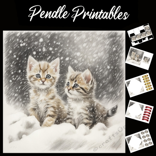 Heading Home.  Kitten Christmas Card. 7x7 card kit. Matching Box, Gift Bauble,Tag.
