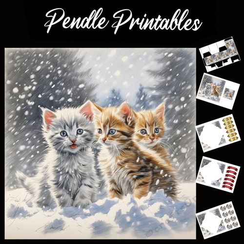 Trouble Is Comming . Kitten Christmas Card. 7x7 card kit. Matching Box, Gift Bauble,Tag.