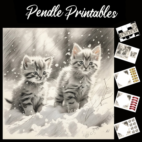 Where Did My Toy Go . Kitten Christmas Card. 7x7 card kit. Matching Box, Gift Bauble,Tag.