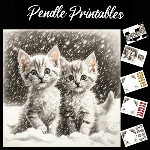 Say Milk . Kitten Christmas Card. 7x7 card kit. Matching Box, Gift Bauble,Tag.