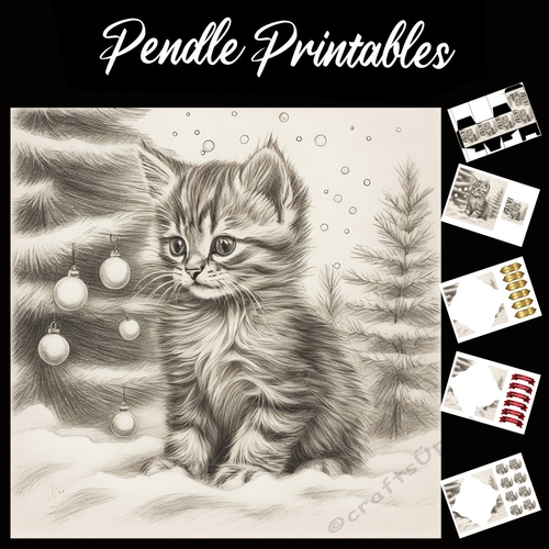 Im All Alone . Kitten Christmas Card. 7x7 card kit. Matching Box, Gift Bauble,Tag.