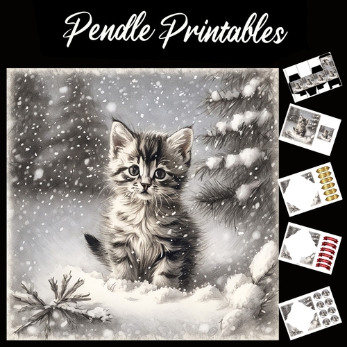Kitten Cuteness . Kitten Christmas Card. 7x7 card kit. Matching Box, Gift Bauble,Tag.