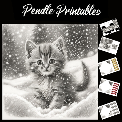 Kitten Cuteness 02. Kitten Christmas Card. 7x7 card kit. Matching Box, Gift Bauble,Tag.