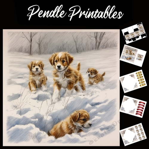 Wheres The Ball Gone. Puppy Christmas Card. 7x7 card kit. Matching Box, Gift Bauble,Tag.
