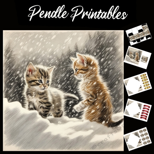 Having Fun. Kitten Christmas Card. 7x7 card kit. Matching Box, Gift Bauble,Tag.