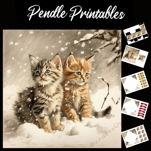 Ginger Snap Cat. Kitten Christmas Card. 7x7 card kit. Matching Box, Gift Bauble,Tag.