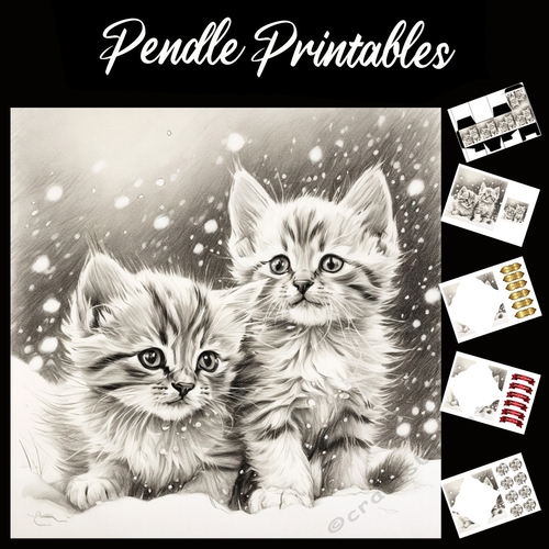 Brotherly Love. Kitten Christmas Card. 7x7 card kit. Matching Box, Gift Bauble,Tag.