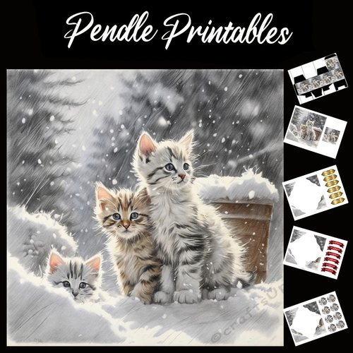 Did I Just See Santa. Kitten Christmas Card. 7x7 card kit. Matching Box, Gift Bauble,Tag.