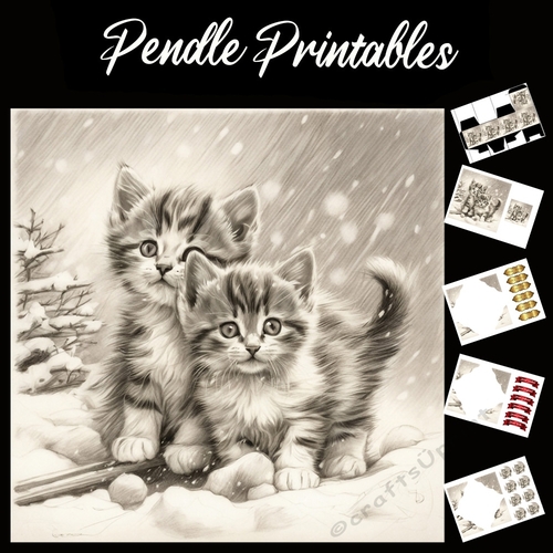 Going For A Stroll. Kitten Christmas Card. 7x7 card kit. Matching Box, Gift Bauble,Tag.