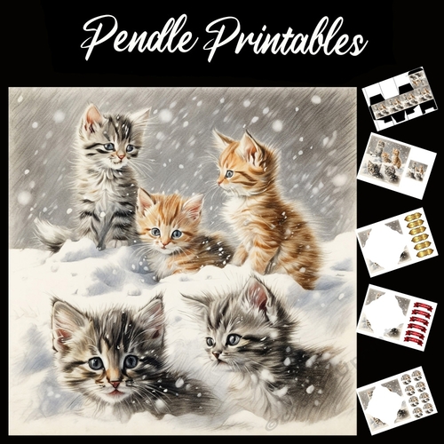 The Kat Pack. Kitten Christmas Card. 7x7 card kit. Matching Box, Gift Bauble,Tag.