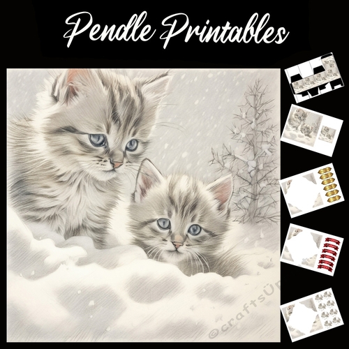 Whered It Go. Kitten Christmas Card. 7x7 card kit. Matching Box, Gift Bauble,Tag.