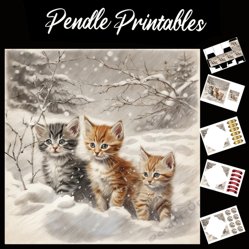The Purr Possie. Kitten Christmas Card. 7x7 card kit. Matching Box, Gift Bauble,Tag.