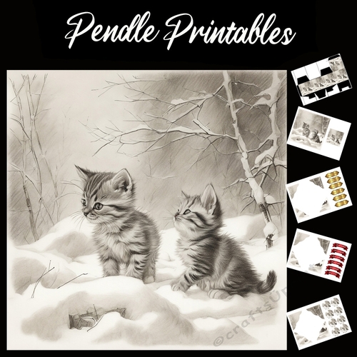 Waiting For Santa. Kitten Christmas Card. 7x7 card kit. Matching Box, Gift Bauble,Tag.