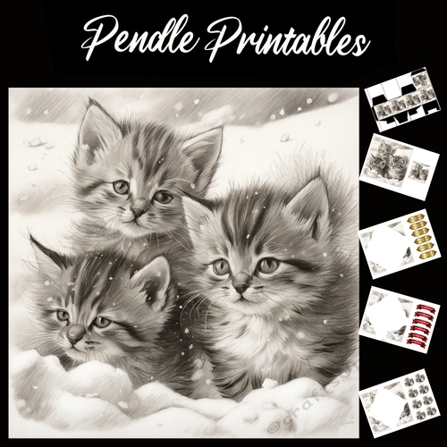 We Three Kittens. Kitten Christmas Card. 7x7 card kit. Matching Box, Gift Bauble,Tag.