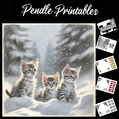The Tabby Trio. Kitten Christmas Card. 7x7 card kit. Matching Box, Gift Bauble,Tag.
