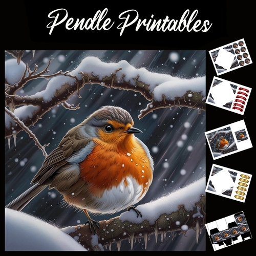 Robin Sat On A Snowy Branch 7x7 Card Kit. Matching Box, Gift Bauble, Tag
