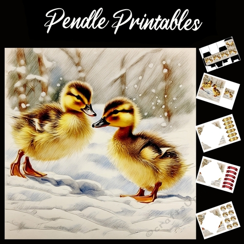 Downey Ducks. Duckling Christmas Card. 7x7 card kit. Matching Box, Gift Bauble,Tag.