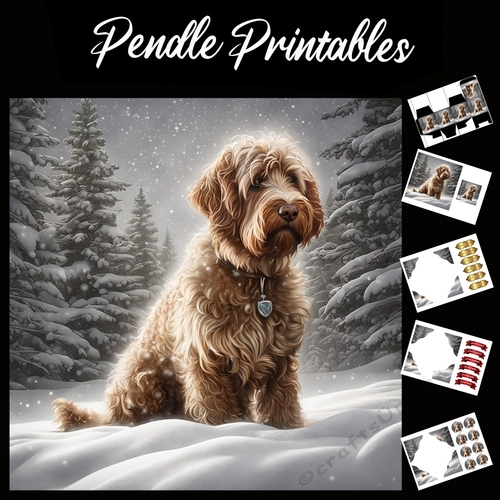Wating For The Ball . Labradoodle Christmas Card. 7x7 card kit. Matching Box, Gift Bauble,Tag.