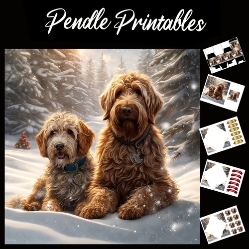 Labradoodles Chilling . Labradoodle Christmas Card. 7x7 card kit. Matching Box, Gift Bauble,Tag.