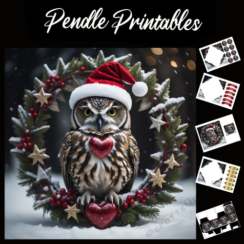 Two Hearted Owl 7x7 Card Kit. Matching Box, Gift Bauble,Tag
