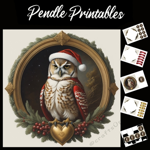 Owl With The Golden Heart 7x7 Card Kit. Matching Box, Gift Bauble,Tag
