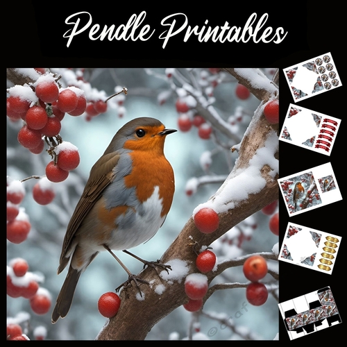 A Berry Christmas Robin 7x7 Card Kit. Matching Box, Gift Bauble,Tag