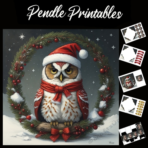 A Handsome Owl 7x7 Card Kit. Matching Box, Gift Bauble,Tag