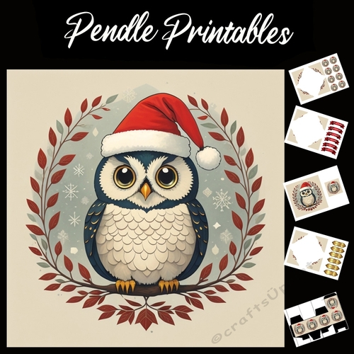 Retro Style Blue And White Owl 7x7 Card Kit. Matching Box, Gift Bauble,Tag