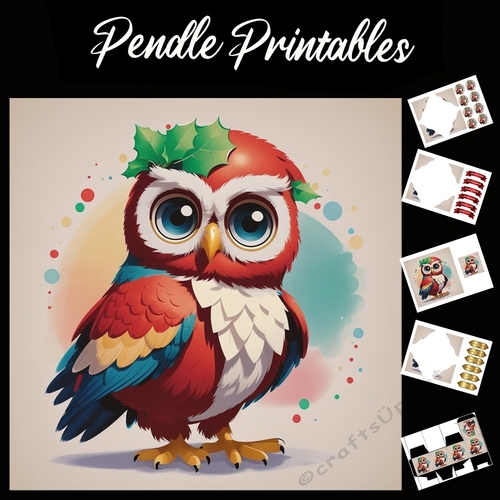Poster Art Style Pinup Owl 7x7 Card Kit. Matching Box, Gift Bauble,Tag