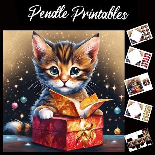 Both For Me? Cute Kitten Card 7x7 Card Kit. Matching Box, Gift Bauble,Tag