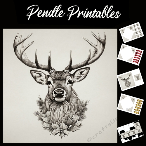 Beautiful Pencil Sketch Of A Stag Head 7x7 Card Kit. Matching Box, Gift Bauble,Tag