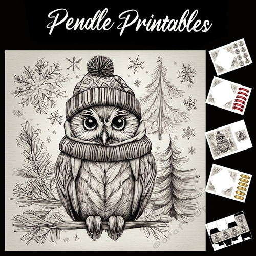 Lovely Pencil Sketch Of An Owl 7x7 Card Kit. Matching Box, Gift Bauble,Tag
